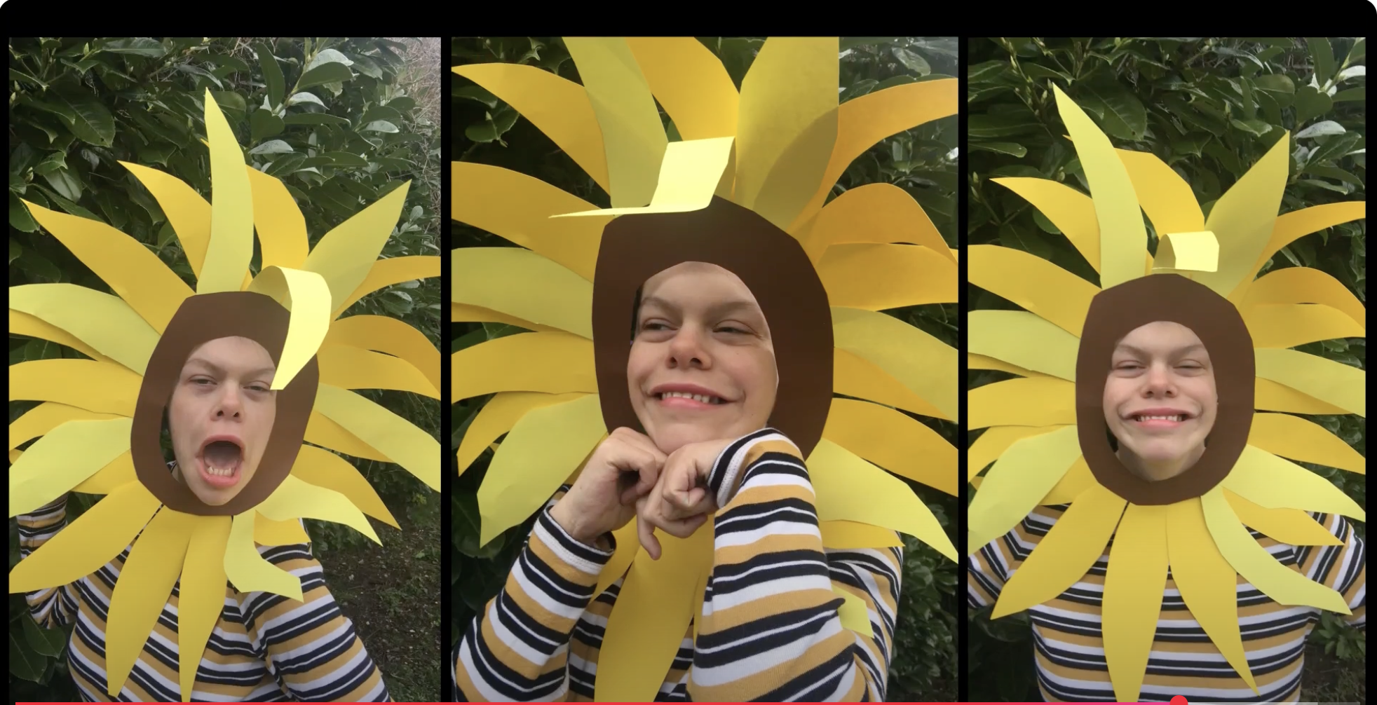 Sunflower Avenue